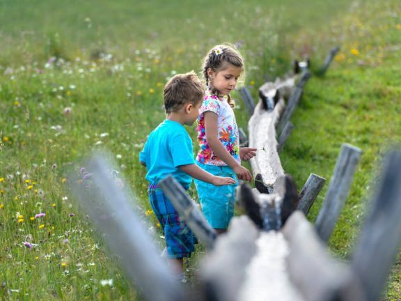 Sommer Kinder Familienurlaub Bauernhof Seiser Alm