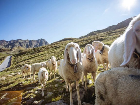 Wanderurlaub in Südtirol