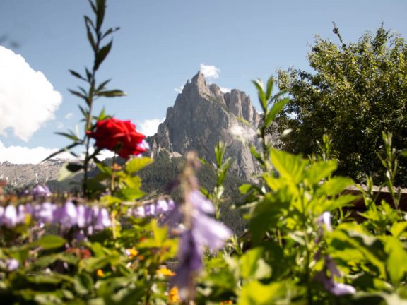 Urlaub auf dem Bauernhof Kreuzerhof