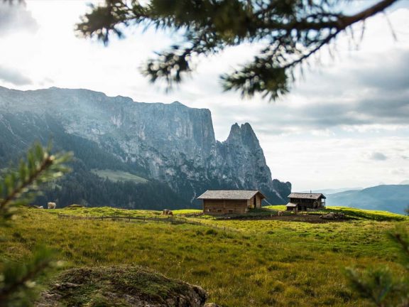 Urlaub auf dem Bauernhof Seiser Alm Kinder