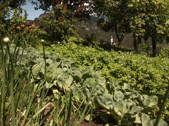 Urlaub auf dem Bauernhof Seis am Schlern