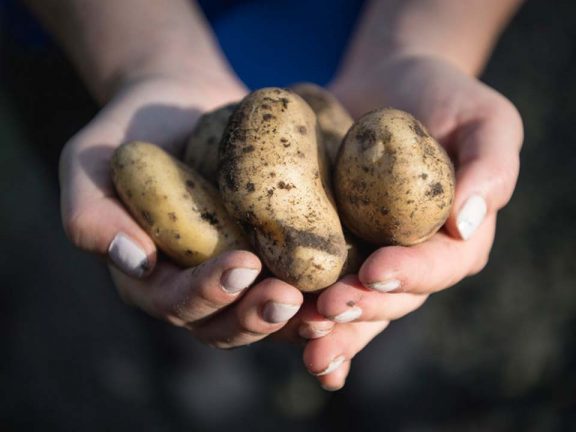 Urlaub auf dem Bauernhof Südtirol