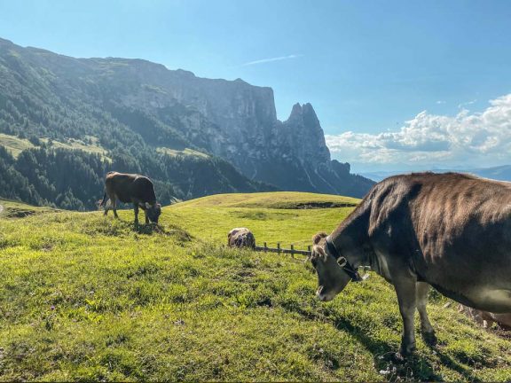 Familien Urlaub auf dem Bauernhof Seiser Alm