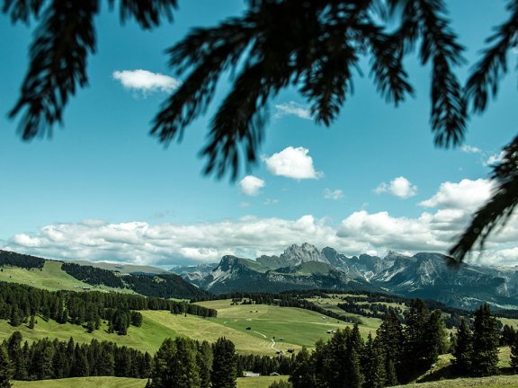 Sommer Seis am Schlern Urlaub